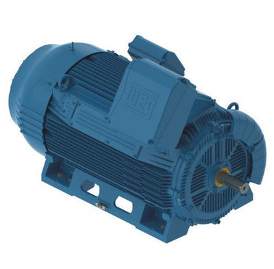 MOTORES DE BAJA TENSIÓN (normas NEMA e IEC)
